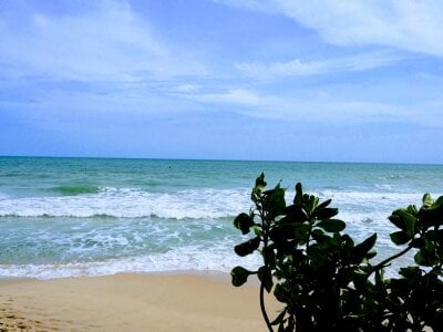 Kazaf118 Public Pic 4