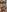 Bombshell_Ashy Naked hard dick Pic