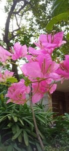 mdshovohossen kullanıcısının Love u albümü -  fotoğraf