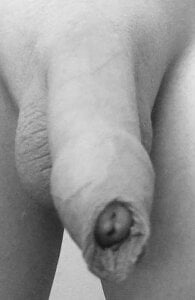 Public de PureNude  4 photos