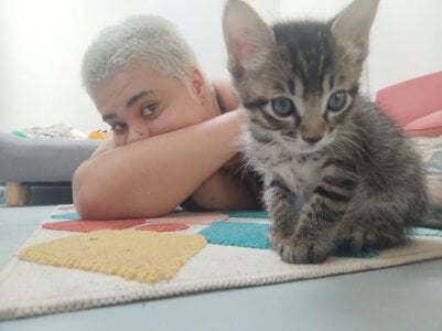 Public de graff_venas  4 Imagens