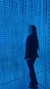 LisaSmiths I love mirror lights heheheh Pic 5