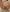 Asko-MeoW HİJAB 4 Pic 2