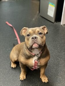 mariianebabePublic图片 2