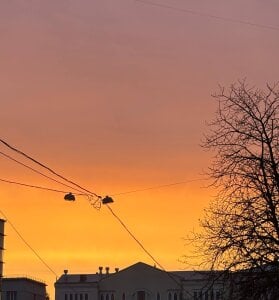 luna_berryy Sunny day ☀️ Pic 2