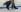 queens_nylon my heels Pic 8