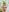 Celeste_Mcs_ 🤭☘ Hairy and lucky woman ☘🤭 Pic 7