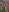 chibi_hibby nude nature shoot, hot. Pic 7