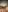 CocoJadeX Pussy Bilde 2