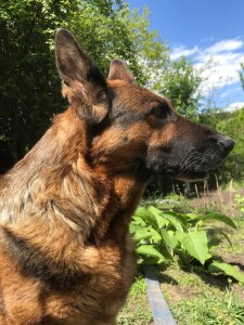 RitaRey My Jessica Pic 3