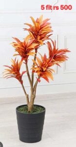 Hot_reani Public รูป  2