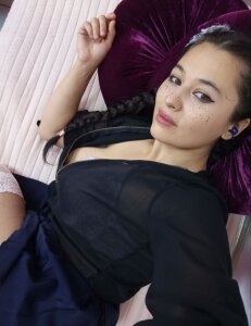 Public de Paradise_day  8 Imagens