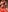 Dann_dan Burning a teen Danni 🔥 Pic 2