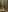 you_desire Light erotica in the forest Pic 3