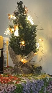 maxxxio12 E vai صورة واحدة|maxxxio12 E vai صورتان|maxxxio12 E vai  2 صور|maxxxio12 E vai  2 صورة