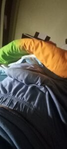 moreno_escuro The Bull and his dick Foto