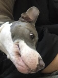 bottombeargaming THE ONLY WOMAN FOR ME Pic 3