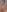 AprilAudrey_Nude pictures照片 5