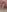 kylie_blck My hot Pussy for you Pic 7