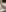 bossyroxy84 Fan Club  Only Pic 6