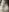 LeaGambit__ No shave November, armpits and pussy Pic 4