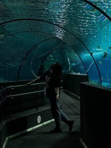 DelindaToste: old album ( фото)