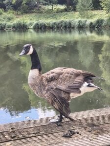 xhamsterlivelukas Public Pic 5