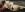 eva202477 Im Body Pic 3