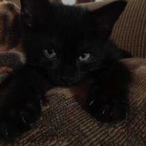 LuluSpark Sunshine Pic 2