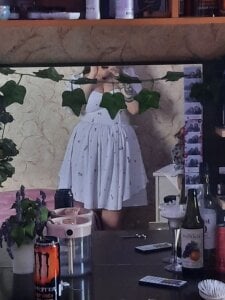 nevelitti Public Pic 6