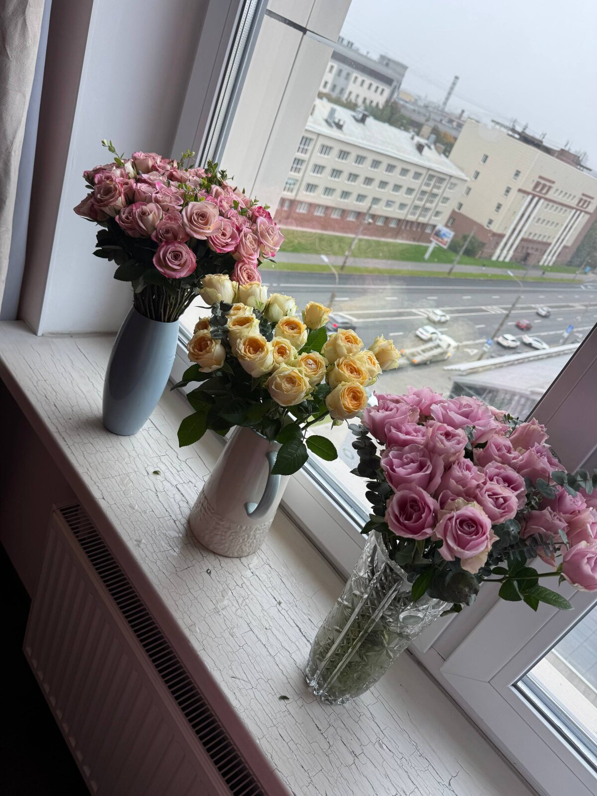 South_Carolina Poză populară 1716