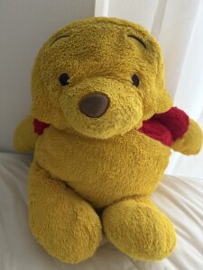 RAITO_STのプーさんの枚の写真