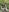 SunriseGuys Miniskirt and Heels in Forest Summer 2023 Photo