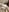 Radiants_two some new hot pics Jess Pic 7