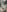 Evelivelyvery hairy照片 4