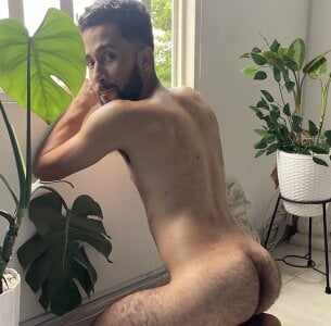 Public de TropicPulses  4 Imagens