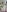 Evelivelyvery hairy照片 7