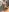 Mikka_Blush New image Photo 7