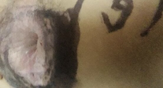 KimberlySlut666 Qhore Hình 4