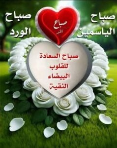 التحرر لذة الزوجين de Chmssi3030 Foto