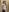 baby_brownie Public (PART 2) 사진 8