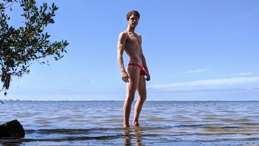 Public de warrenkener  6 Imagens