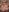 More nudes de isisxoxx  2 fotos
