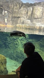 AleMarquxz Public Pic