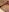 Hornymom42Mmmm照片