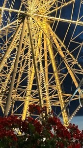 MelissaMelrey ❄️❄️❄️ зображення 3