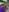 vixendoll87: I love you ❤️ ( 3 фото)