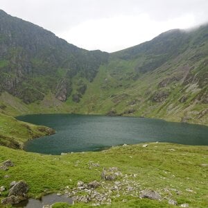 Gyno_Rod Public Εικόνα 2