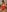 Ragdoll131 Red babydoll - felt cute 🥰 Pic 4