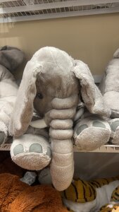 fitboytelugu Public Pic